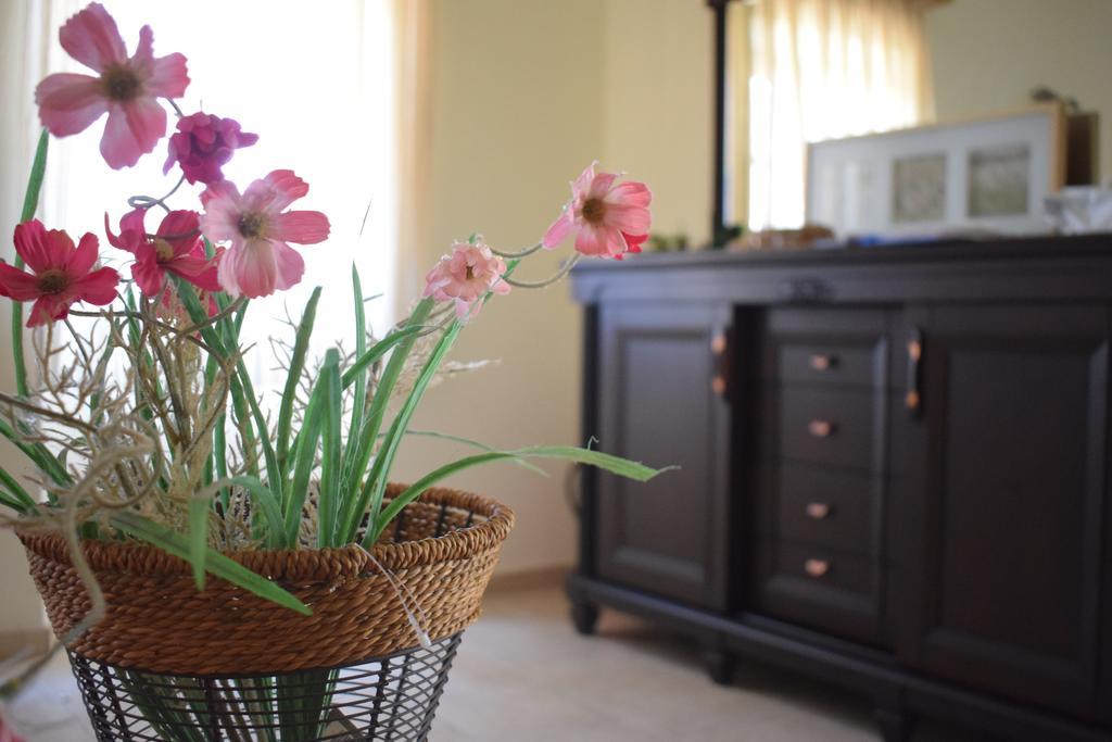 Olive Villas Anapaftiria Экстерьер фото